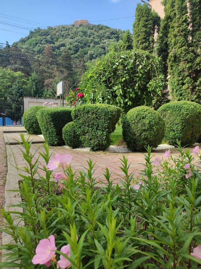 Hotel Casa Alina Deva Exteriér fotografie